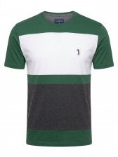 Camiseta Masculina Listrada Aleatory Original - Verde