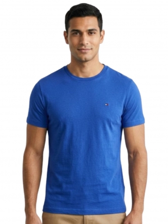 Camiseta Tommy Hilfiger Básica Masculina Gola Careca