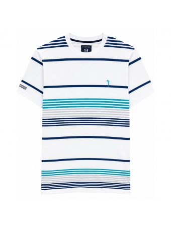 Camiseta Masculina Listrada Aleatory Regular Original