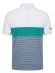 Camiseta Aleatory Polo Listrada Masculino Original - Verde