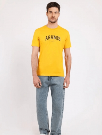 Camiseta Aramis Masculina Regular College Club