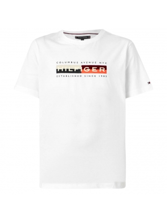 Camiseta Tommy Hilfiger Estampada Blocos de cores