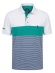 Camiseta Aleatory Polo Listrada Masculino Original - Verde