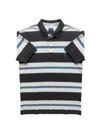 Camiseta Masculina Polo Aleatory Listrada Original
