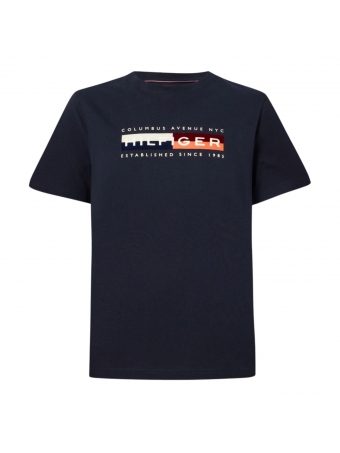 Camiseta Tommy Hilfiger Estampada Blocos de cores