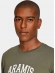 Camiseta Aramis Masculina Regular College Club - Verde Musgo